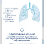 amnb-500_3-scaled